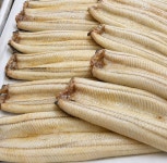 수장어 국산 민물장어 자포니카 장어 1kg 손질 후 800g 내외 : 수장어
