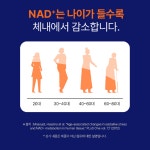 엠엔엔특허 | 약국 NMN 엠엔엔 NMM 약1달분 : 싱싱몰스토어