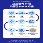 엠엔엔특허 | 약국 NMN 엠엔엔 NMM 약1달분 : 싱싱몰스토어