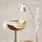 소형캣타워 미니캣타워 투명해먹 라탄 우드 네로 X-05 토이 캣 클라이밍 프레임 포시즌 짠 : 도도상점.
