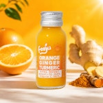 (주)진저보틀(GINGER BOTTLE) | Feeju 진저샷 미니보틀 8개입, 4개 : Feeju korea