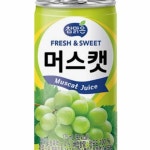 참맑은 머스캣 175ml 30p 업소용캔 포도음료 과일음료 : 하우스픽업
