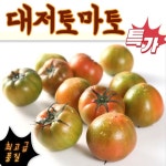 부산 대저토마토 5kg 아삭 탄탄 단짠 가정용 샐러드 요리용 : 러블리크 Lovelique