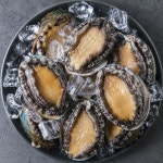 산지직송 완도 활전복 1kg 살아있는 해수 산소포장 기력회복 몸보신 보양식 + 세척솔 증정 : 러블리크 Lovelique