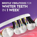 Oral B 펄사 함유 차콜 2개입 칫솔모 전동 소프트 칫솔 에센스 블랙 2 Count (Pa of 1) : 마한-2