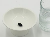 참선진녹즙광주북구점 | 팜듀 ㈜참선진녹즙 - 하루 한알 루테인 100포(500mg X 1캡슐) : 새싹부자 건강부자 1991