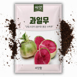 과일팜채소팜 | 과일무 씨앗 100립 수박무 씨앗 무우 무 채소 씨 종자 : 씨앗팜