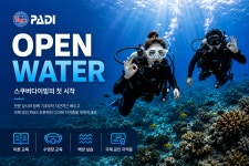 PADI 오픈워터 자격증 코스 : 제주스쿠버스쿨 스쿠버다이빙