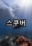 스쿠버다이빙 오픈워터 다이버 자격증 과정 (스킨스쿠버 입문) : 다이버 투 다이버
