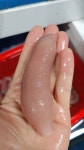 다불로50자연산별미회 | 국내산 자연산 개불 회 당일손질 쫄깃한 식감 별미 왕특대5미 : 시골상회