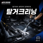 탑출장세차스팀세차디테일링세차내부세차실내크리닝세차장 | 수도권 출장세차 실내크리닝 의자 탈거 청소 한번이면 내부 구석구석 완벽 리뉴얼 : 세차코리아 프리미엄 카케어