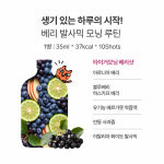타이거모닝 베리샷 블루베리 아로니아 하스카프 착즙 주스 보틀 350ml, 6개 : 타이거모닝