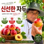 영천 후무사 자두 제철 햇자두 도담 왕자두 솔담 추희 2kg : 청별농원