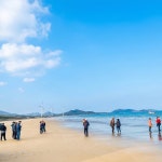 도초농협흑산판매소 | 홍도 흑산도 비금/도초 2박3일 : 동양투어