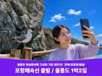 다온투어세담지점 | 포항쾌속선출발 / 울릉도 1박2일 : 다온다투어