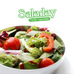 청솔식품 꼬꼬빌 샐러데이 85g
