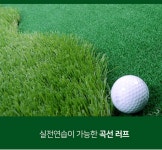 와이드 퍼팅연습기 골프 스윙 퍼터 퍼팅매트 연습용품