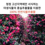 달마산생태농자재 | 유기농 달팽이 전문 충해관리제 대유 달마가