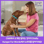 헝거포워드 토킹펫 도어벨 강아지녹음벨 LER9356