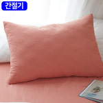 마이크로 간절기 옥수수솜 2 베개커버 cm