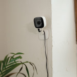 티피링크 티피링크 Tapo C100 홈 보안 Wi-Fi 카메라