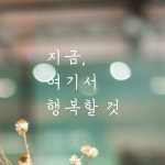 모노먼트 모노먼트 인테리어 포인트 감성 손글씨 레터링 스티커 - 지금 여기서 행복할 것 S 연핑크 LH-053