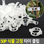 식물 고정 타이 클립 50P 고추대 끈 토마토 케이블