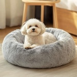 JOLYVOGUE 강아지 고양이 침대 소형견을 위한 진정성 항불안 애완동물 중소형 반려동물을 푹신한 도넛 쿠션 20 01 - Light 20