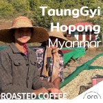 AURA STUDIO COFFEE(오라스튜디오커피) | 오라 미얀마 아라비카 유기농 원두