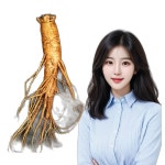 수삼 선물세트