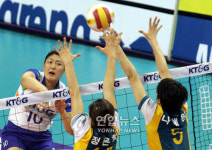 여자배구 FA 보상선수로 한수지.강민정.임효숙 낙점