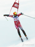 한국 스키 자존심 세운 김민성·김현태