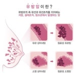 <카드뉴스> 졸리, 뉴튼 존, 버그만…여성스타의 공통점은?