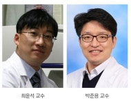 국내 연구진