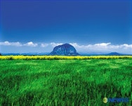 ‘자연을 사랑하는 사람들’ - 서판석作