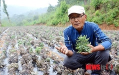 전직 사진기자 김동현씨 와송을 통한 인생2막 도전