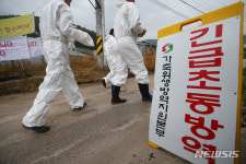 아프리카돼지열병 농장 들어가는 인부들