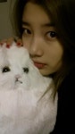 수지, 고양이 인형 들고