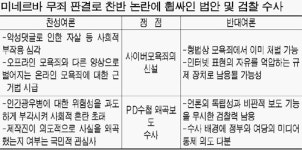 미네르바 무죄 `최진실법` 불똥튀나