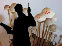 무단결석 학생에 ‘A+’ 주고 술자리 호출…법원 “해당 교수 해임 정당”