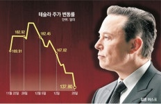 ‘머스크 리스크’에… 테슬라 주가 8% 폭락, 점유율 뚝