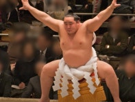 “차라리 한 대 더 띄우자” 스모 선수 41명 탑승 소식에…비행기 추가 마련한 日 항공사