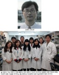 세포 자가포식 조절 새 치료법 발굴