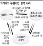 ‘조작전문 회계사’ 무더기 적발