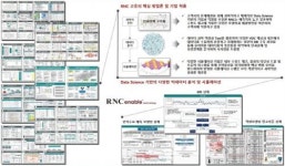 라이언앤코 컨설팅, 예측력 높은 시나리오 플래닝 방법론 기반의 전략 수립 컨설팅 서비스