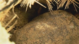 운석 추정 물체 극지연구소서 정밀 조사