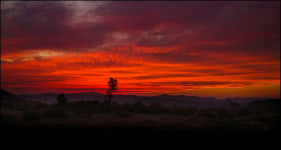 "잠 못자고 밥 굶으면서, 7년 사랑했어요"