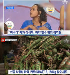 ‘미수다’ 출신 메자 이쉬투, 마약 밀수출 시도…‘징역 4년 선고’