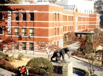 발로 그리는 화가, 처음으로 대학교수 임용