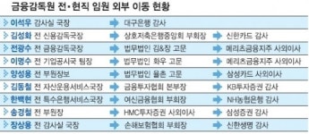 민간 금융사 감사·사외이사로 금감원 전·현직 무더기 낙하산